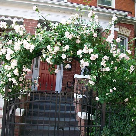 Comfy Guesthouse & Suite Toronto Esterno foto