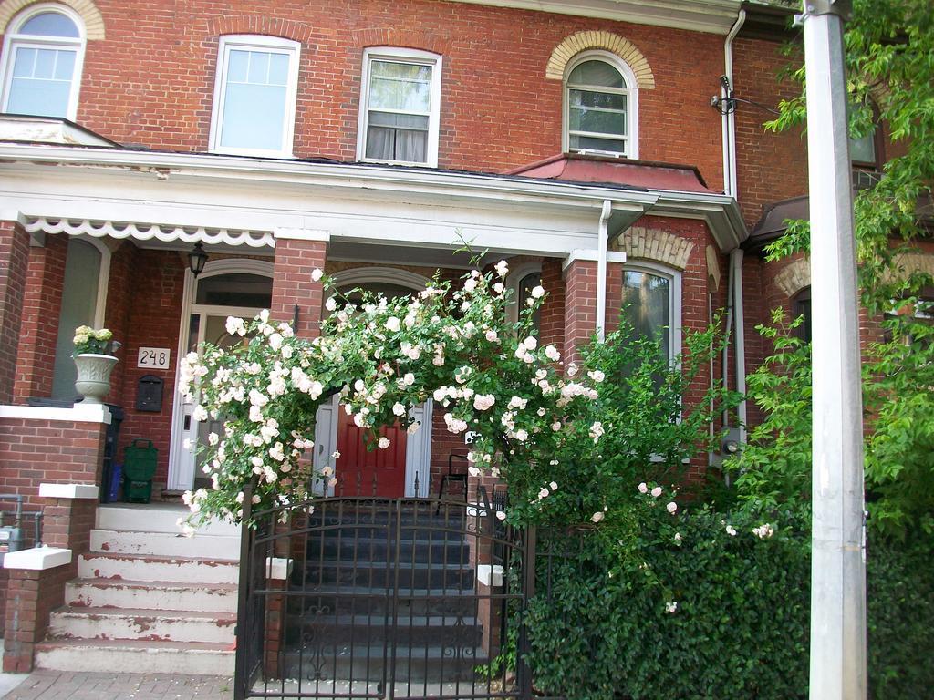 Comfy Guesthouse & Suite Toronto Esterno foto